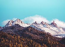 开云官网：把云端服务带进每一次生活